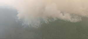 Сухая гроза в Бурятии устроила три лесных пожара