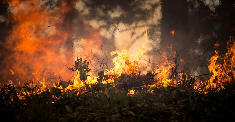В Бурятии за сутки тушили три лесных пожара