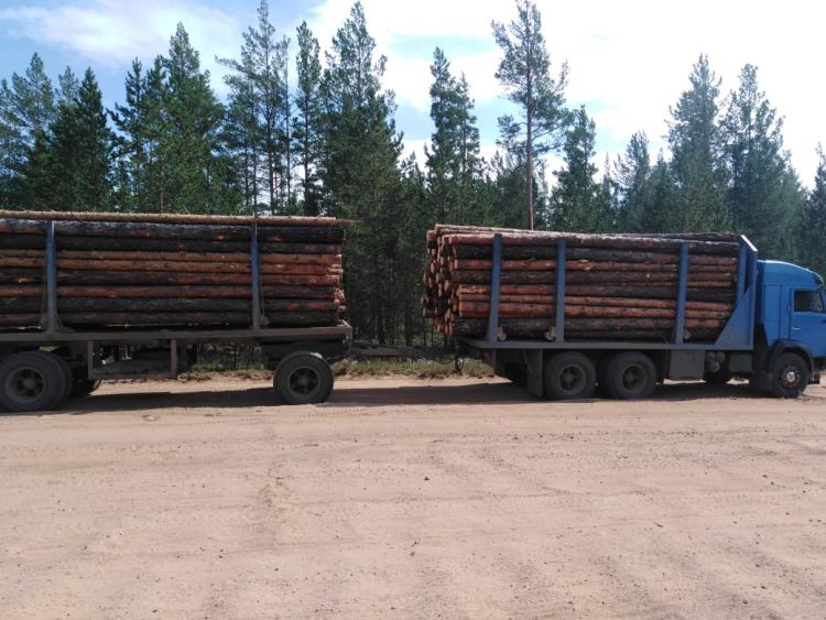 В Бурятии задержали вооруженных «черных лесорубов» В Бурятии задержали вооруженных «черных лесорубов»