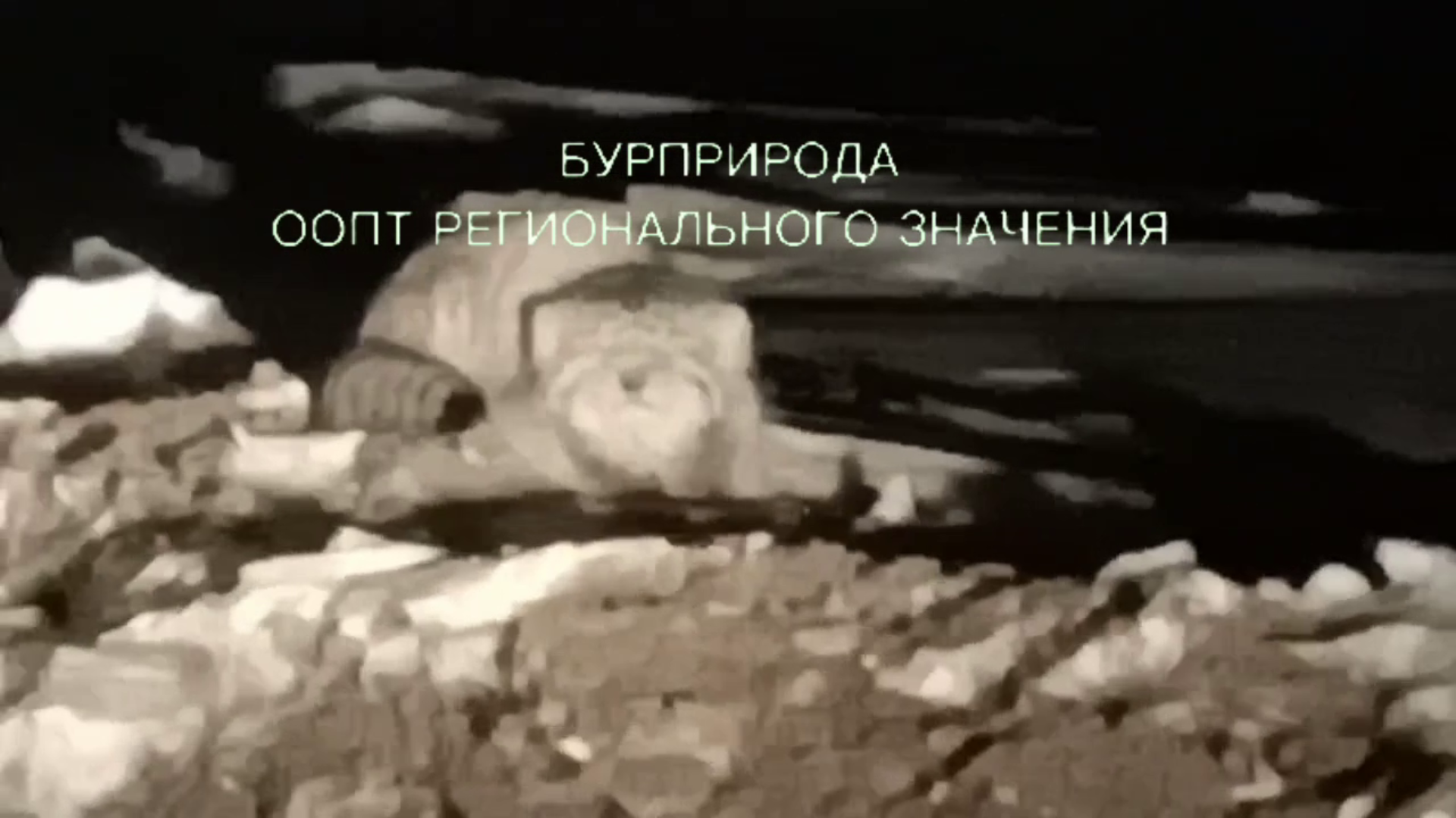 ������ �� ������� ���������� ������