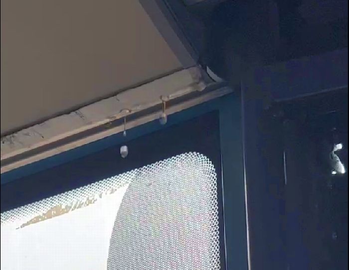 В Улан-Удэ протёк новый автобус В Улан-Удэ протёк новый автобус