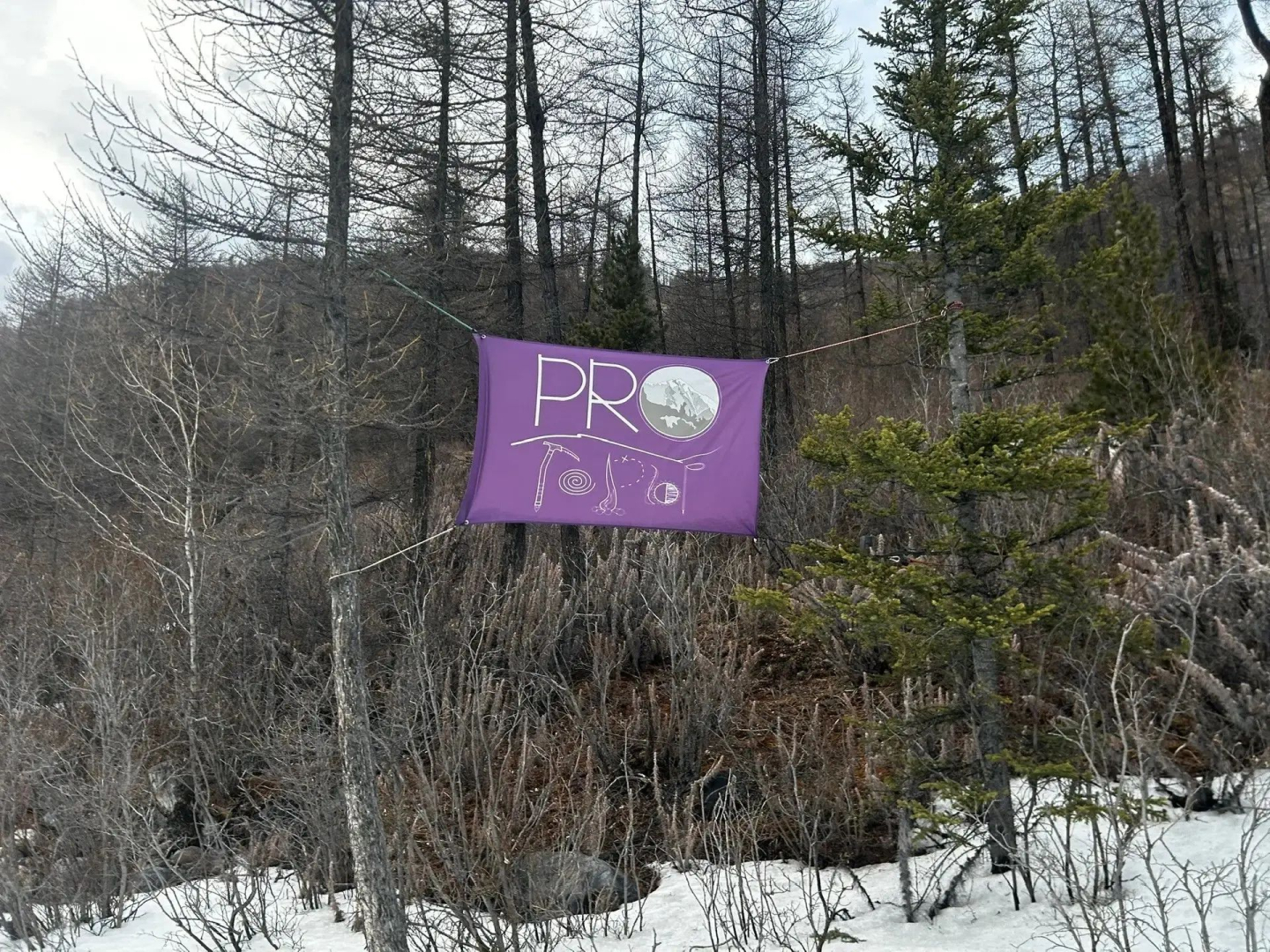 ��������� ����� ����������� ������ ����������� � ����� �������