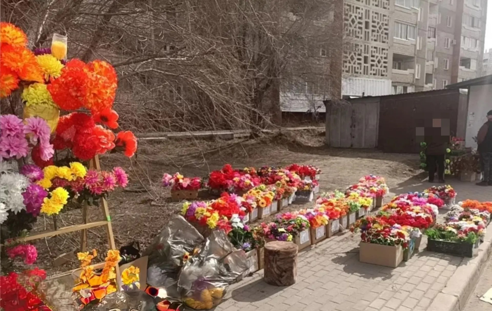 � ����-��� �� ������ ������� 11 ����������� ��������� ������� 