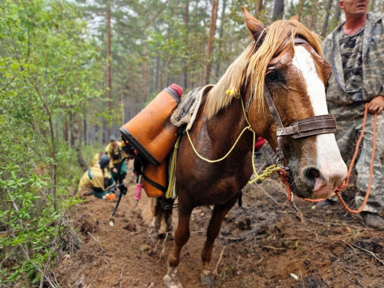 ������ ������� � ��� ���� �������� ������ ����� � ������ ����