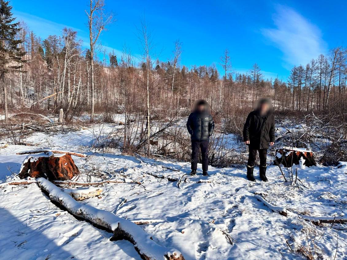 ���������� �� ������� ������ 7-������ ���� �� ����� ���� � ��������