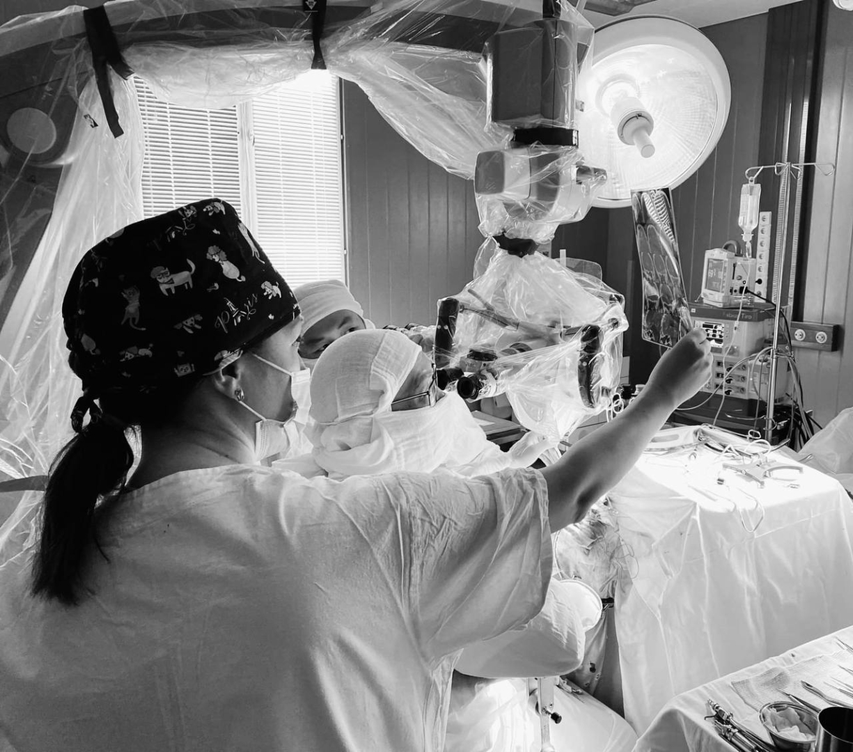 � ����-��� ����� ������ ������� � �������� ����������� ��������� �����