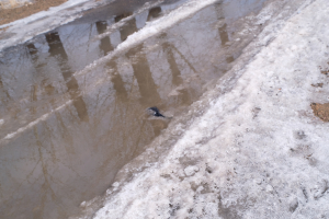 В Улан-Удэ из-за снегопада усилили подсыпку улиц