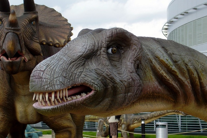 В Монголии впервые прошел фестиваль динозавров 