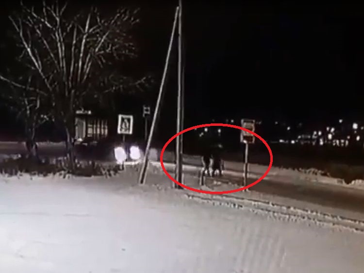 В Улан-Удэ молодой водитель сбил женщину с внуком и сбежал В Улан-Удэ молодой водитель сбил женщину с внуком и сбежал