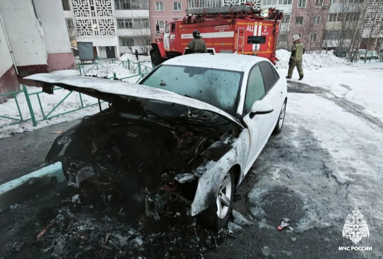 � ����-��� ������� ��������