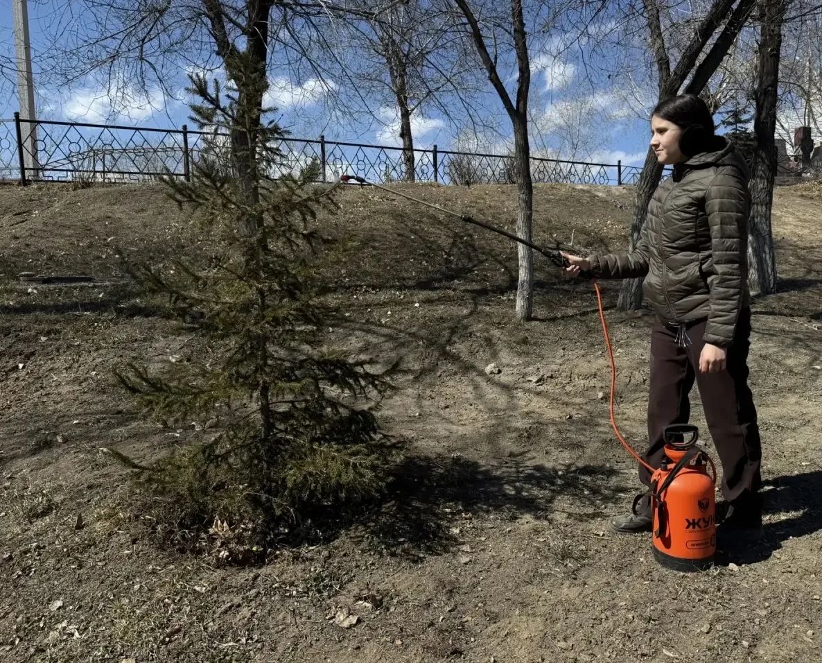 � ����-��� � ���� ���� �������� ����� 40 ����������