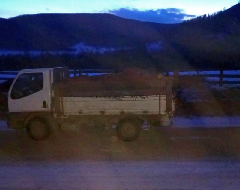 В Бурятии грузовик с дровами переехал своего владельца В Бурятии грузовик с дровами переехал своего владельца