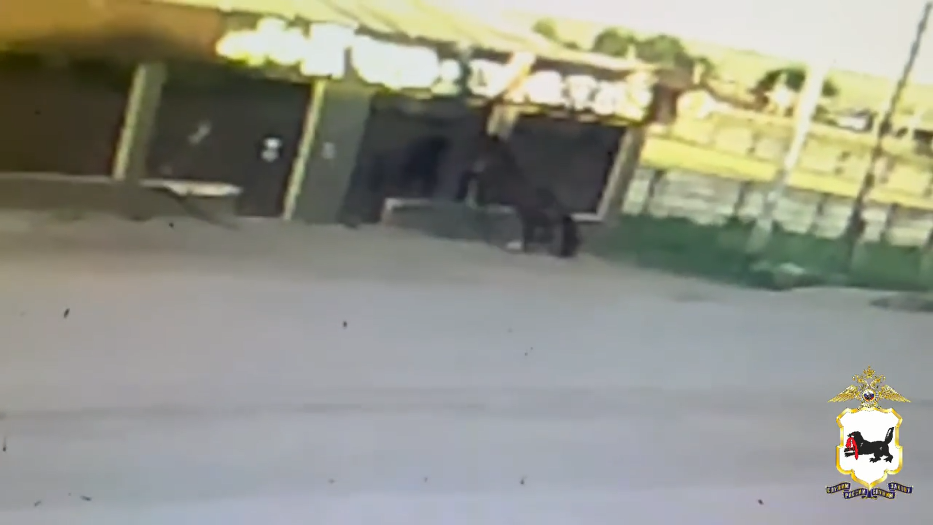 � ������-����������� ������ ������� �������� �������