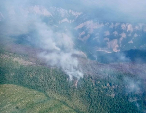 Число лесных пожаров в Бурятии выросло до 25