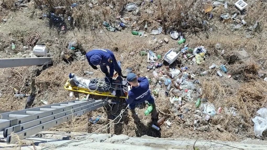 ����-������ ������ ���� � �����������, ������ � 4-�������� ������