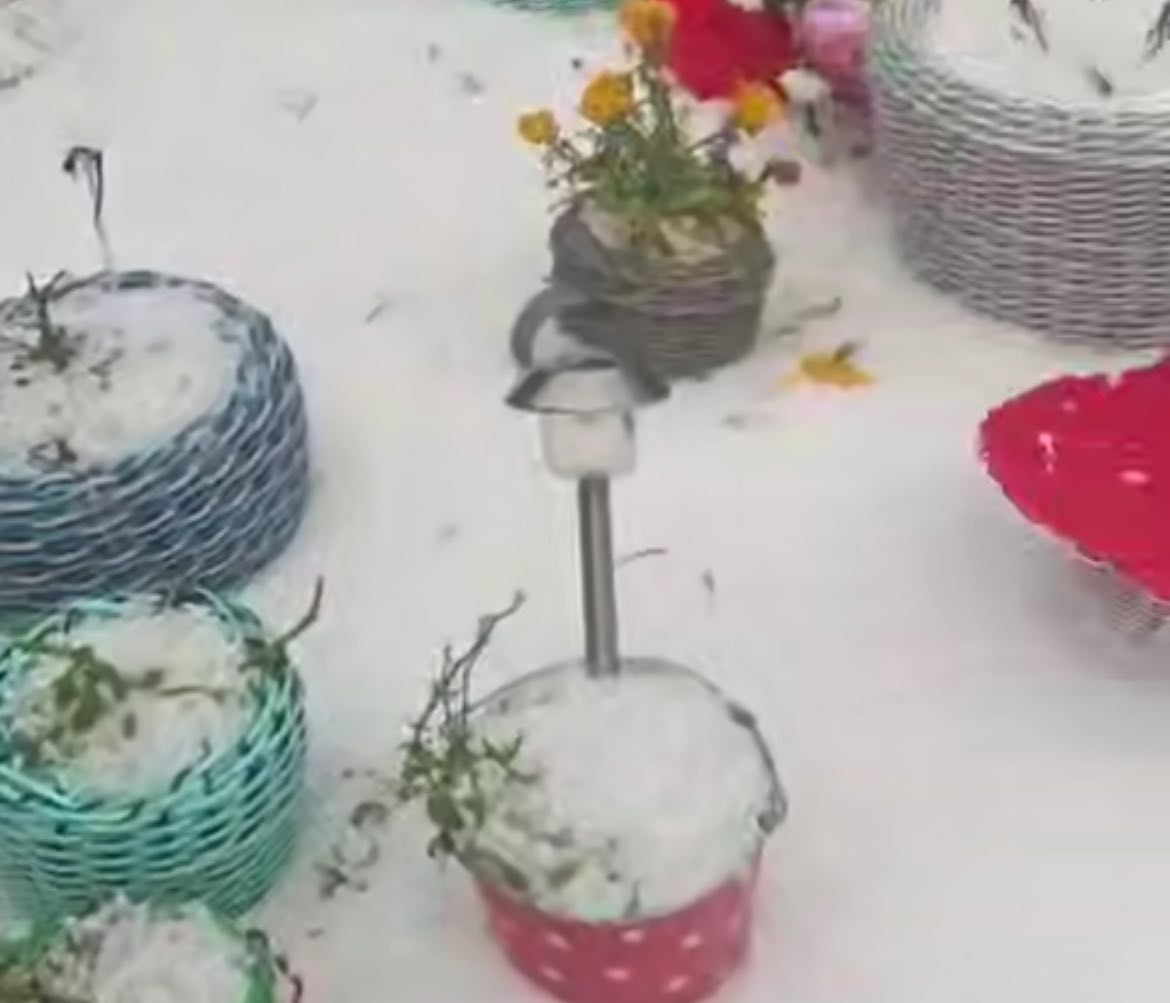 � ��������� ������� �������� ���� ��������� ������