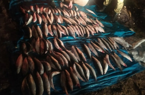 В Бурятии в акватории Байкала сотрудники ОМОН  задержали браконьеров