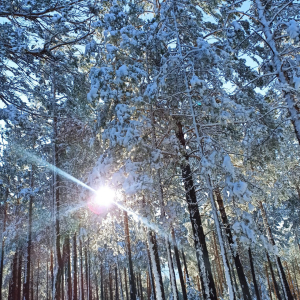 Байкальск полностью переведут на электро отопление