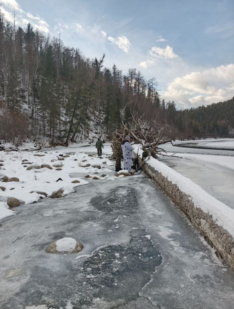 � ������� ������������� ������ ������������ � ����� �������