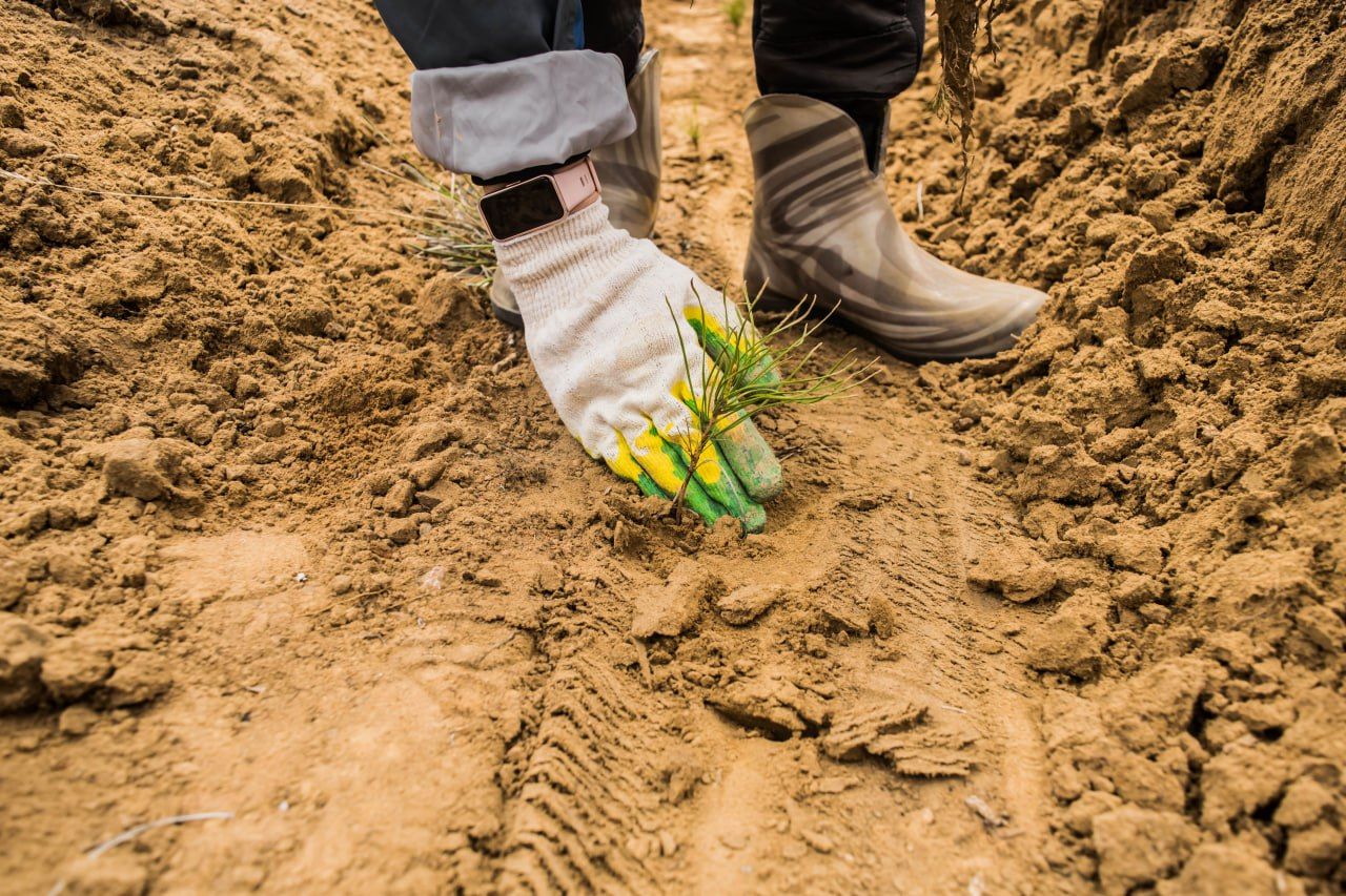 �� ��� ���� � ������� �������� 8 ����� ��������