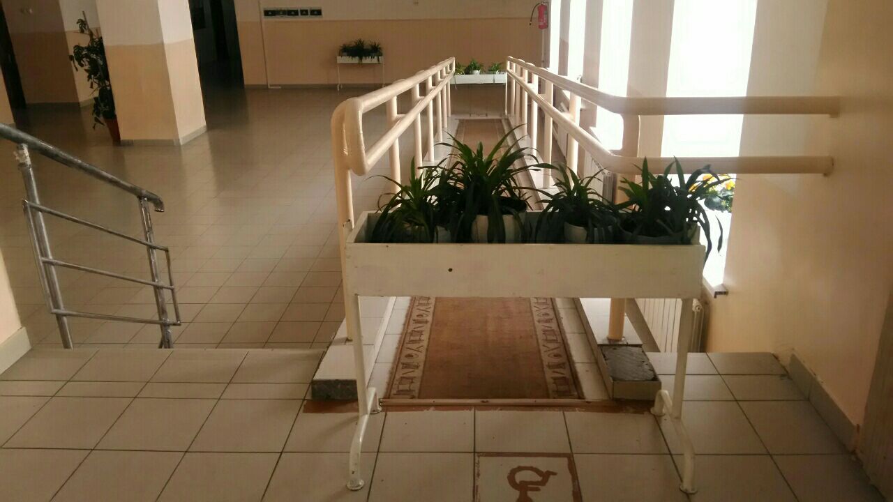 ���� ���: ��������� �������� �����