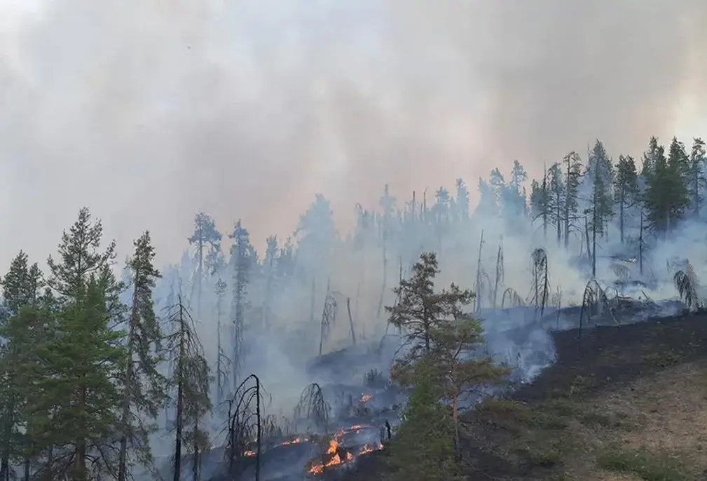 ����� � ����������� ������ ������� ������� ��-��� ��������