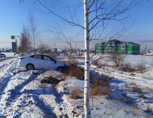 В Улан-Удэ автомобиль снес деревья на березовой аллее