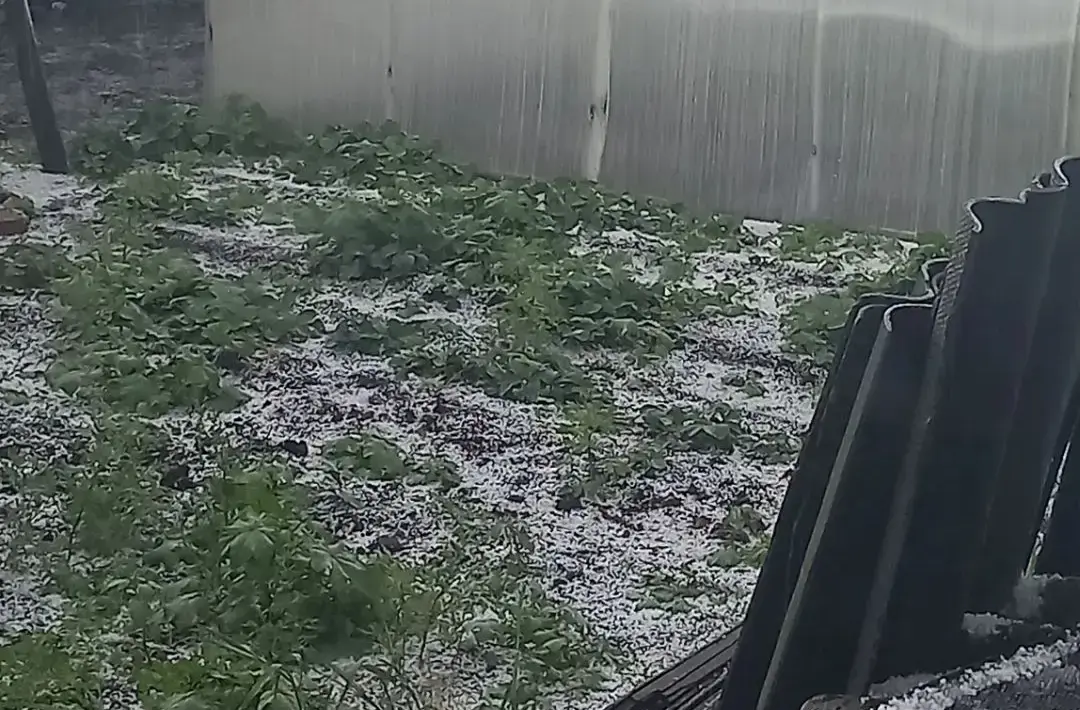 � ��������� ������ ������� ����� ���� 