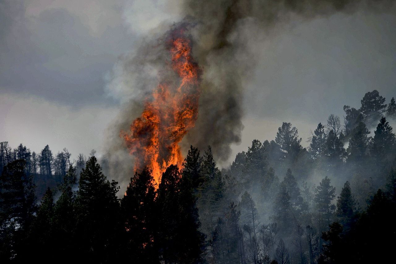 В районе Бурятии из-за курящего пастуха сгорел лес