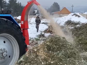 Новогодним елкам в Улан-Удэ дают вторую жизнь