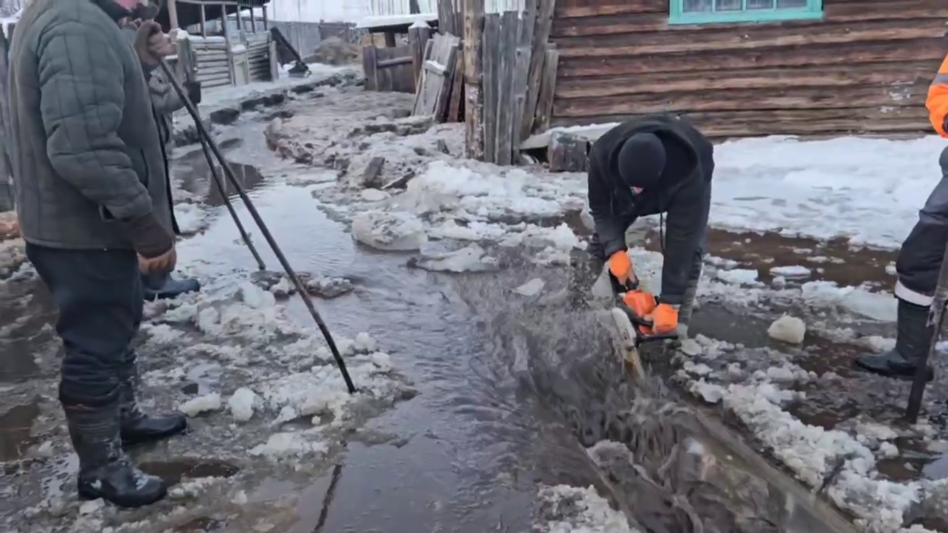 � ������� ��������� �� ������ �����������