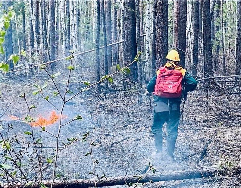 В Бурятии не осталось лесных пожаров В Бурятии не осталось лесных пожаров