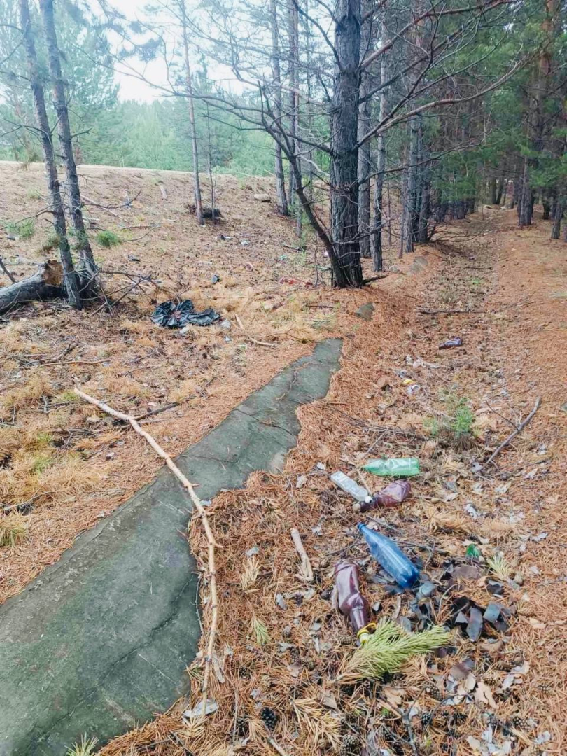 Лесники в Бурятии расчищают придорожные полосы от мусора Лесники в Бурятии расчищают придорожные полосы от мусора