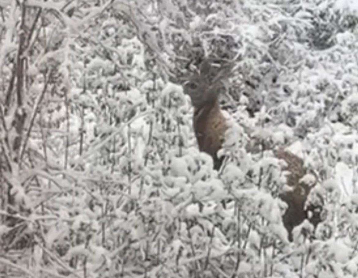 ���� ��������� � �������� ����� �������