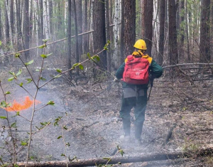 В Бурятии пока не могут потушить оставшиеся два лесных пожара