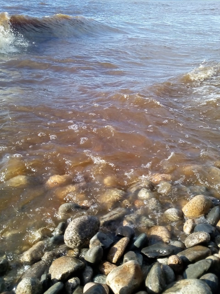 Вода стала коричневой. Мишиха Байкал. Речка Мишиха Байкал. Байкал цвет воды. Байкал летом вода.