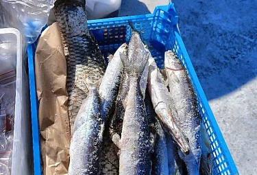 ������� �������� ��������� �����. ������ �����