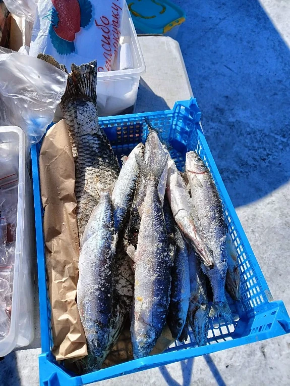 ������� �������� ��������� �����. ������ �����