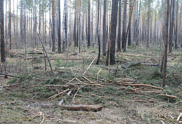 ��������� ���