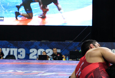 ������� ������. ����� �� ������������� ���� ������� ��������� (� �������). ������ ������ ����� ���������. ����-���, 2025 ���