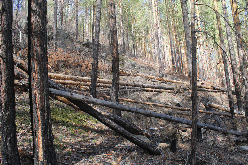 ��������� ���