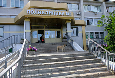 Улан-Удэ. Бродячие собаки на крыльце поликлиники