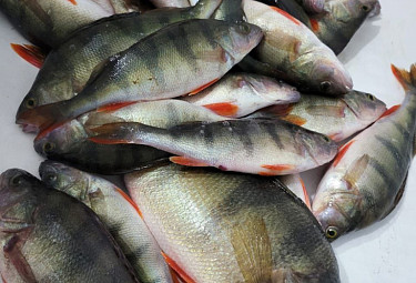 ��������� �������, ����������� ����� � ������ ���� - �� �����.