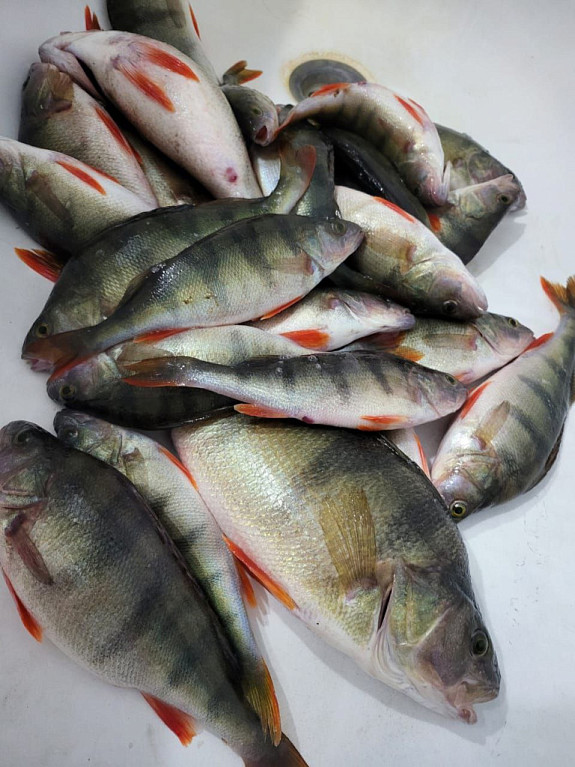 ��������� �������, ����������� ����� � ������ ���� - �� �����.