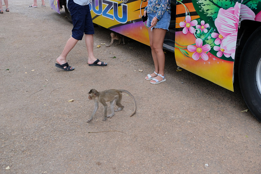 ������������� ������� � ��������. ������� ������������ �������� ����� �� �������. Tourist bus in Thailand