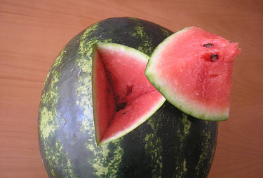 ������ �����