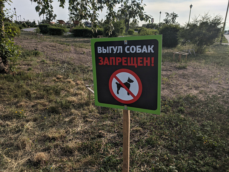 Объявление о запрете выгула собак