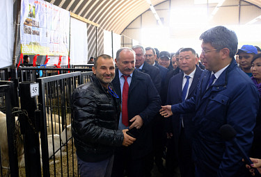 ������ ������ ������� (�����), ����� ��������� (������ �����), ����-������ ������� (������ �����), ������� ������� (� �����, ������)