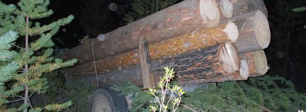 Три лесоруба с кавказа нашли радиоактивную батарею фото