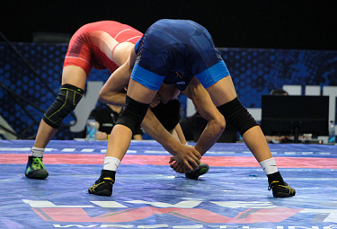 .     . Freestyle wrestling